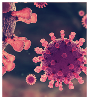 The Human Immunodeficiency Virus